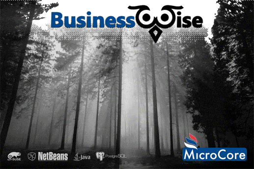 BusinessWise Splash